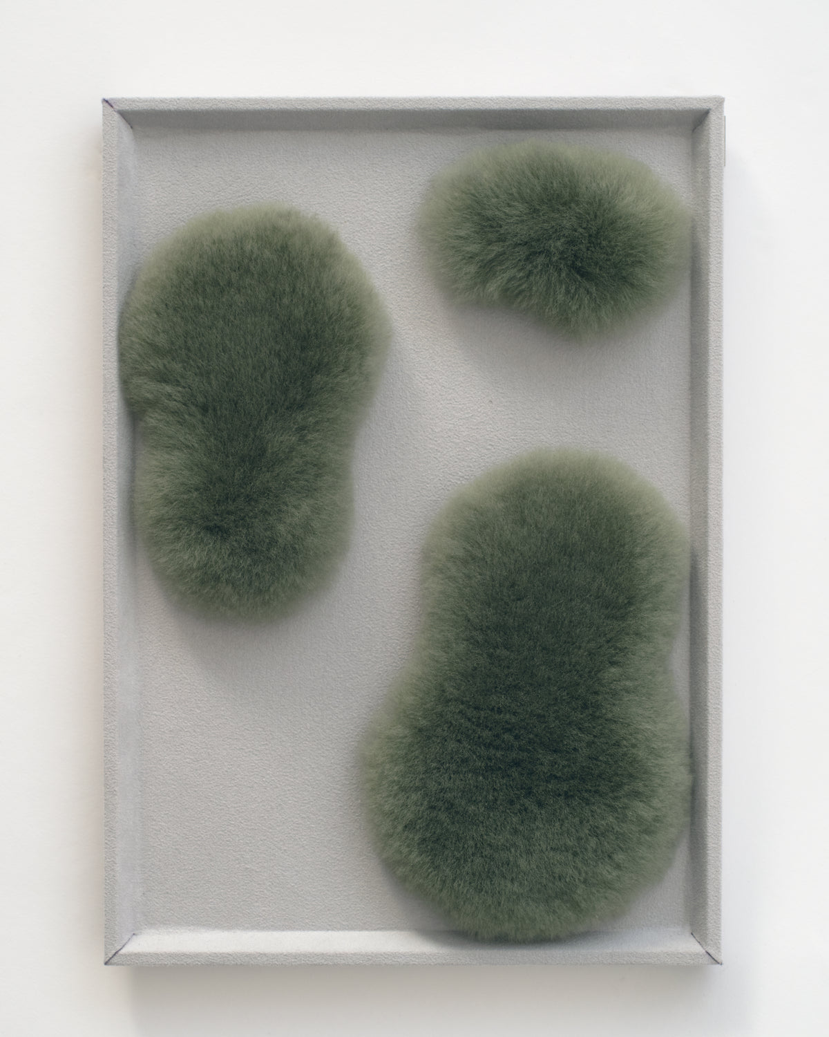 SCAPE / Island S